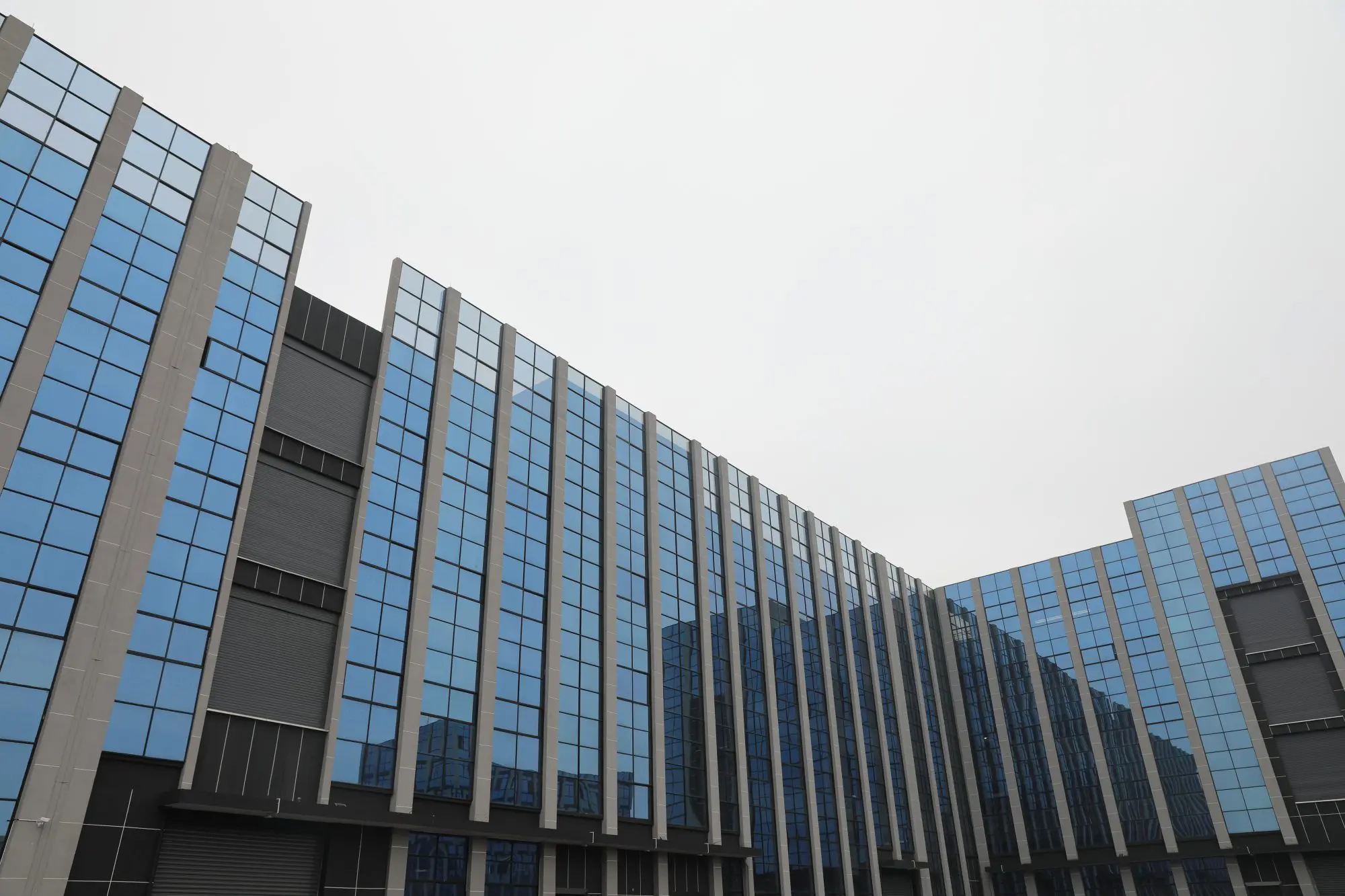 dibibi-factory