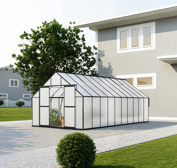 10x20-ft-aluminium-gable-roof-greenhouse-l-series-scene-2