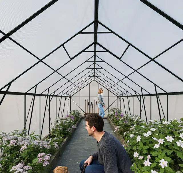 10x20-ft-aluminium-gable-roof-greenhouse-l-series-scene-3
