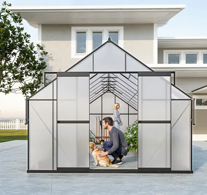 10x20-ft-aluminium-gable-roof-greenhouse-l-series-scene-4